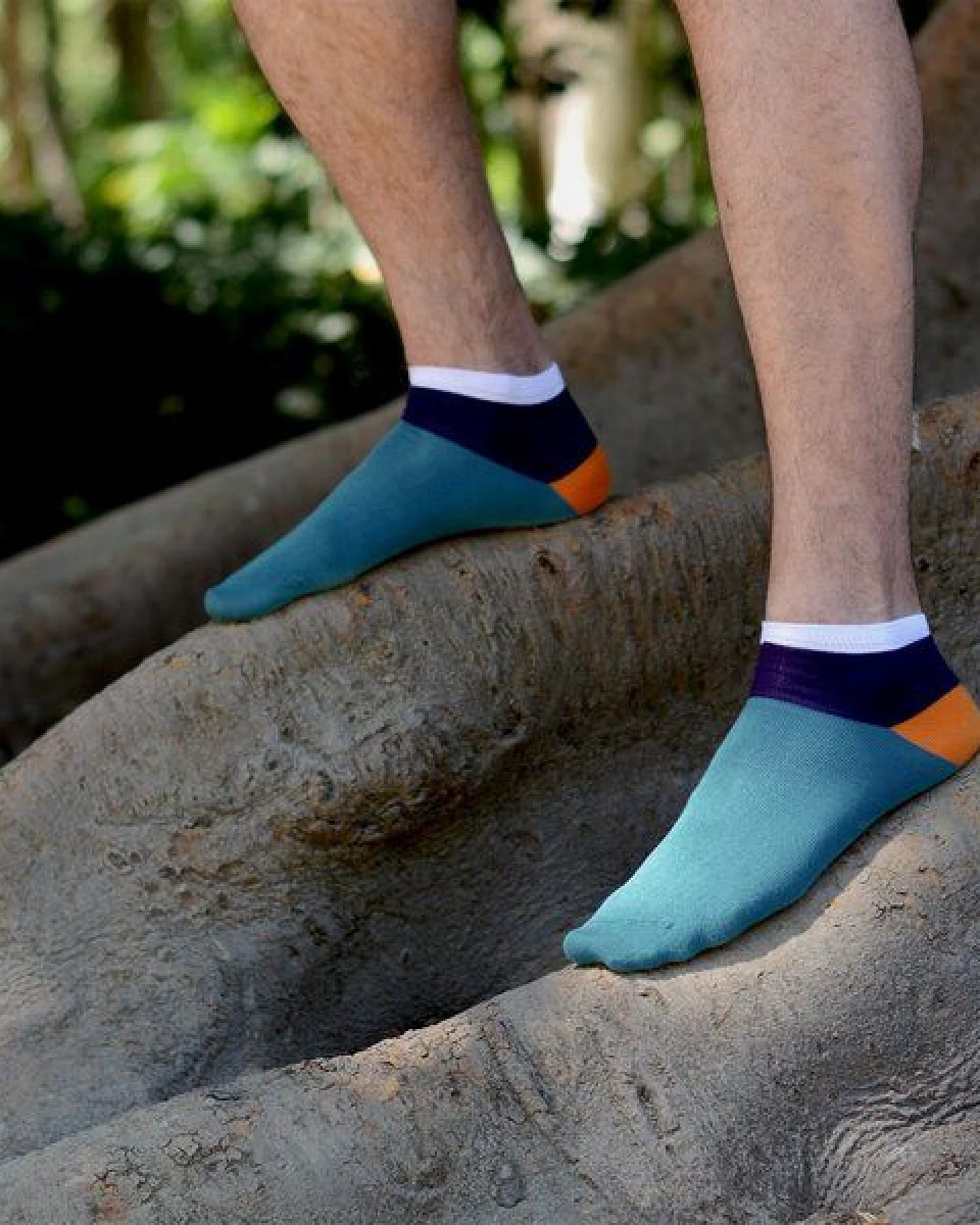 The Arctic Bay Bio-Baumwoll-Knöchelsocken 5er Pack – Sakura Edition – Weich, Atmungsaktiv & Bequem – Nachhaltig in der EU gefertigt – Ansicht 2