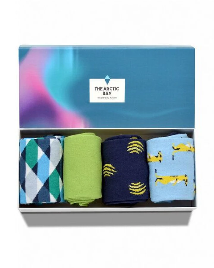 The Arctic Bay Die Arctic Box - Allegro-Edition - 4 Paar Socken