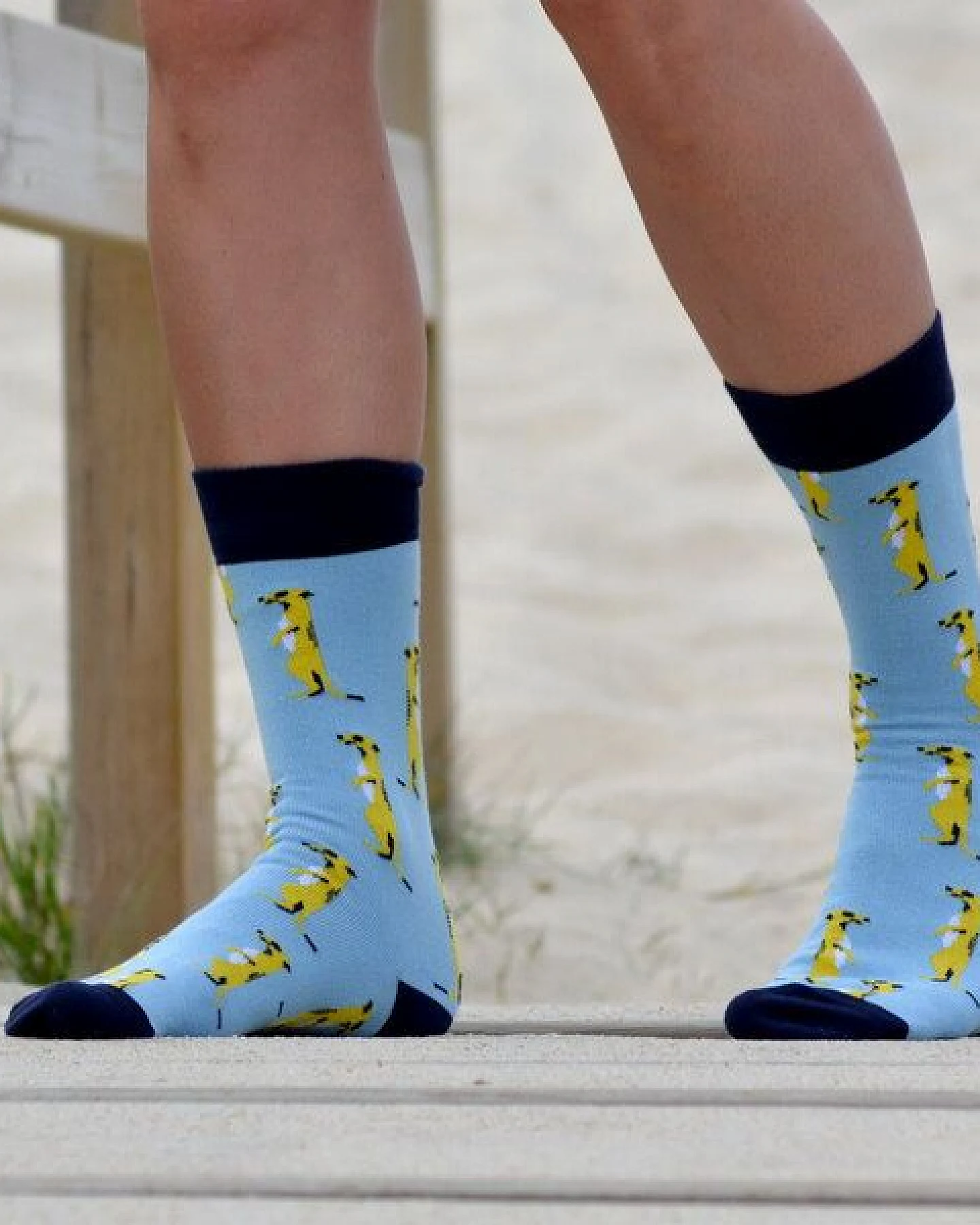 The Arctic Bay Die Arctic Box - Allegro-Edition - 4 Paar Socken – Ansicht 3