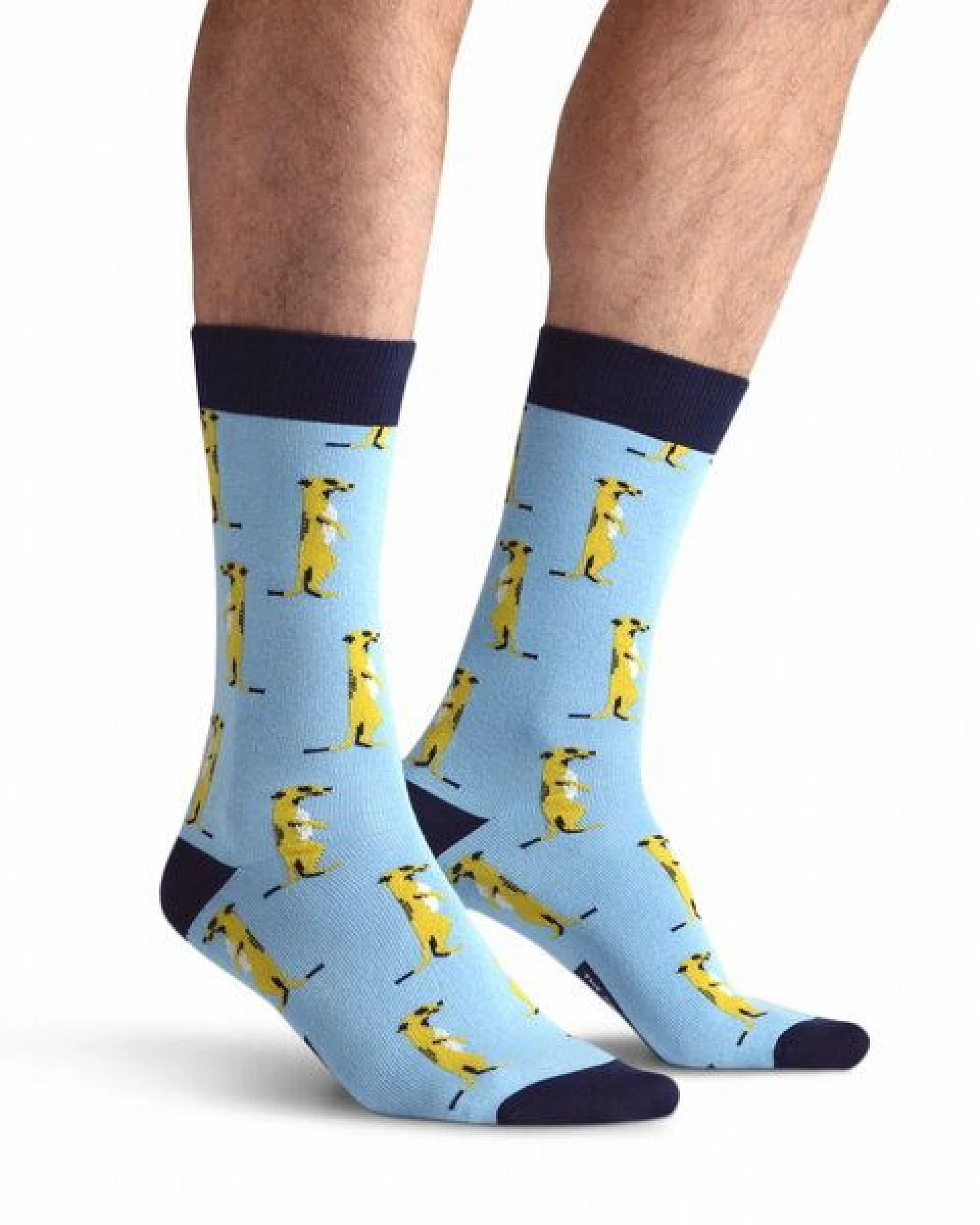 The Arctic Bay Die Arctic Box - Allegro-Edition - 4 Paar Socken – Ansicht 3