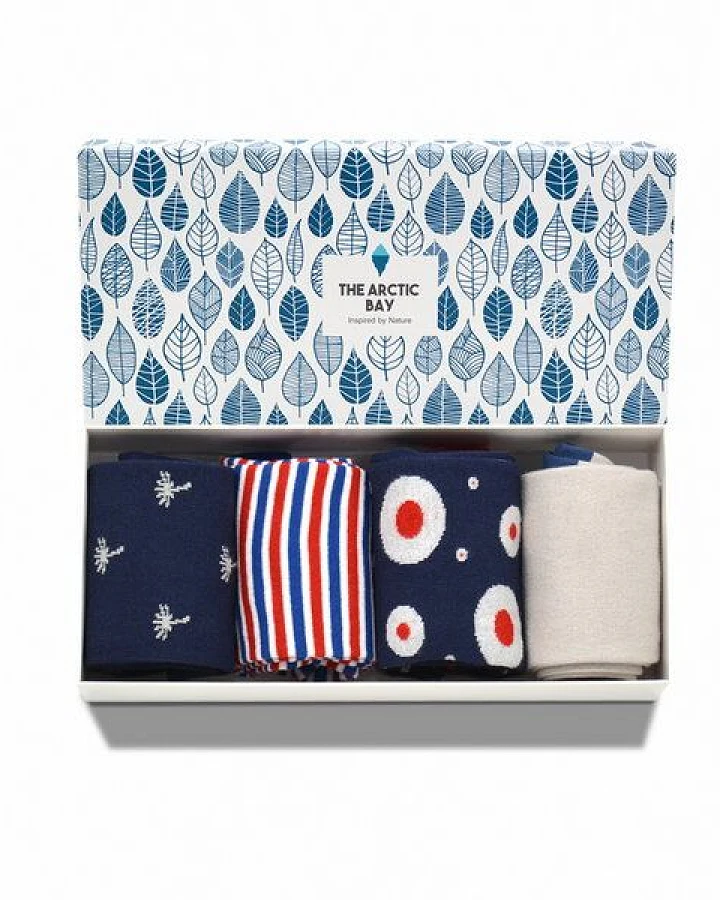 The Arctic Bay Die Arctic Box - Serendipia-Edition - 4 Paar Socken
