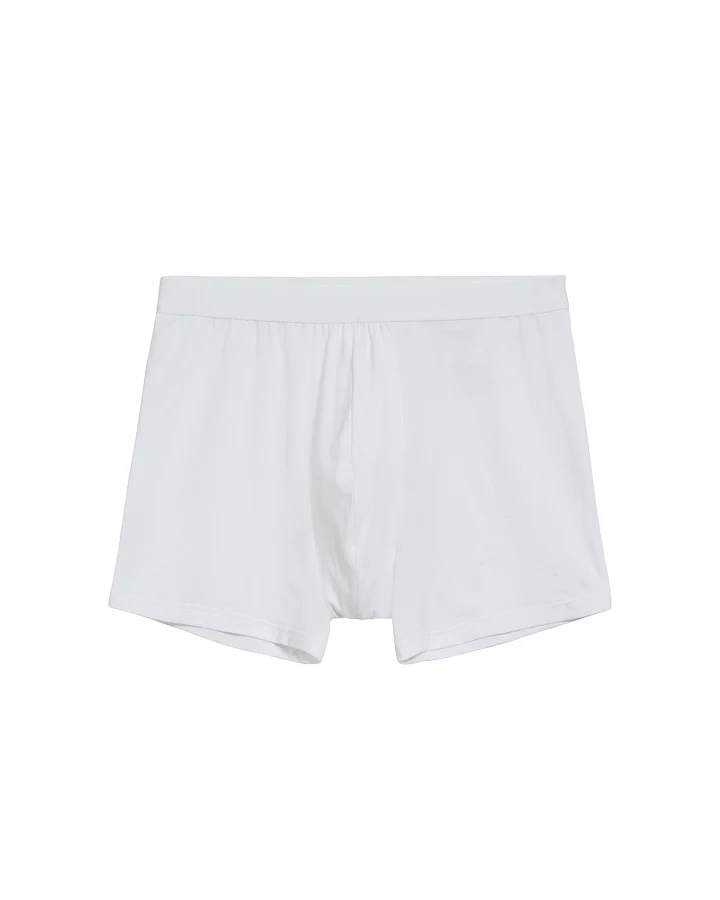 ARMEDANGELS Boxershorts Ricaard