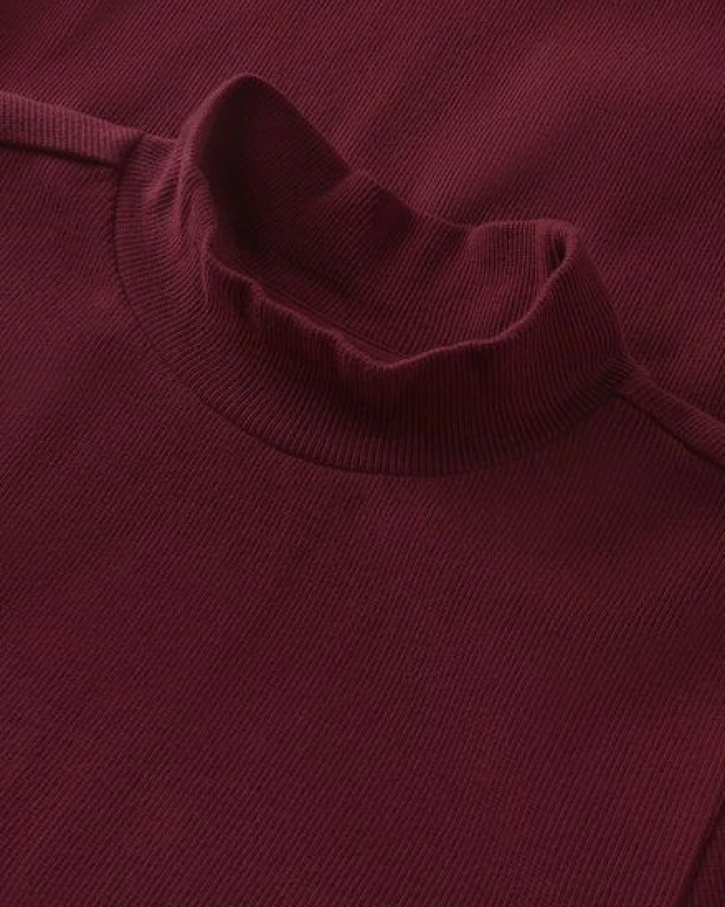 KnowledgeCotton Apparel Langarmshirt - Rib high neck long sleeved - aus Bio-Baumwolle – Ansicht 3