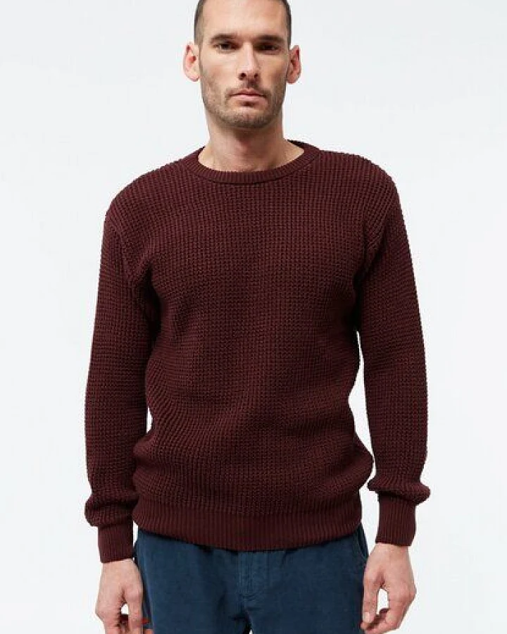 Givn Berlin Strickpullover GBCARL aus Bio-Baumwolle