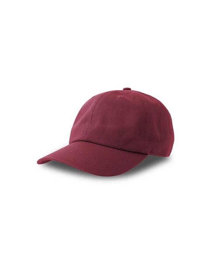 Rot