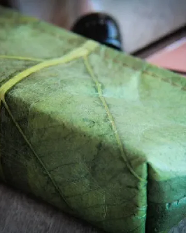 BY COPALA Federmappe Etui aus recycelten Blättern in grün, laminiert - Vegan