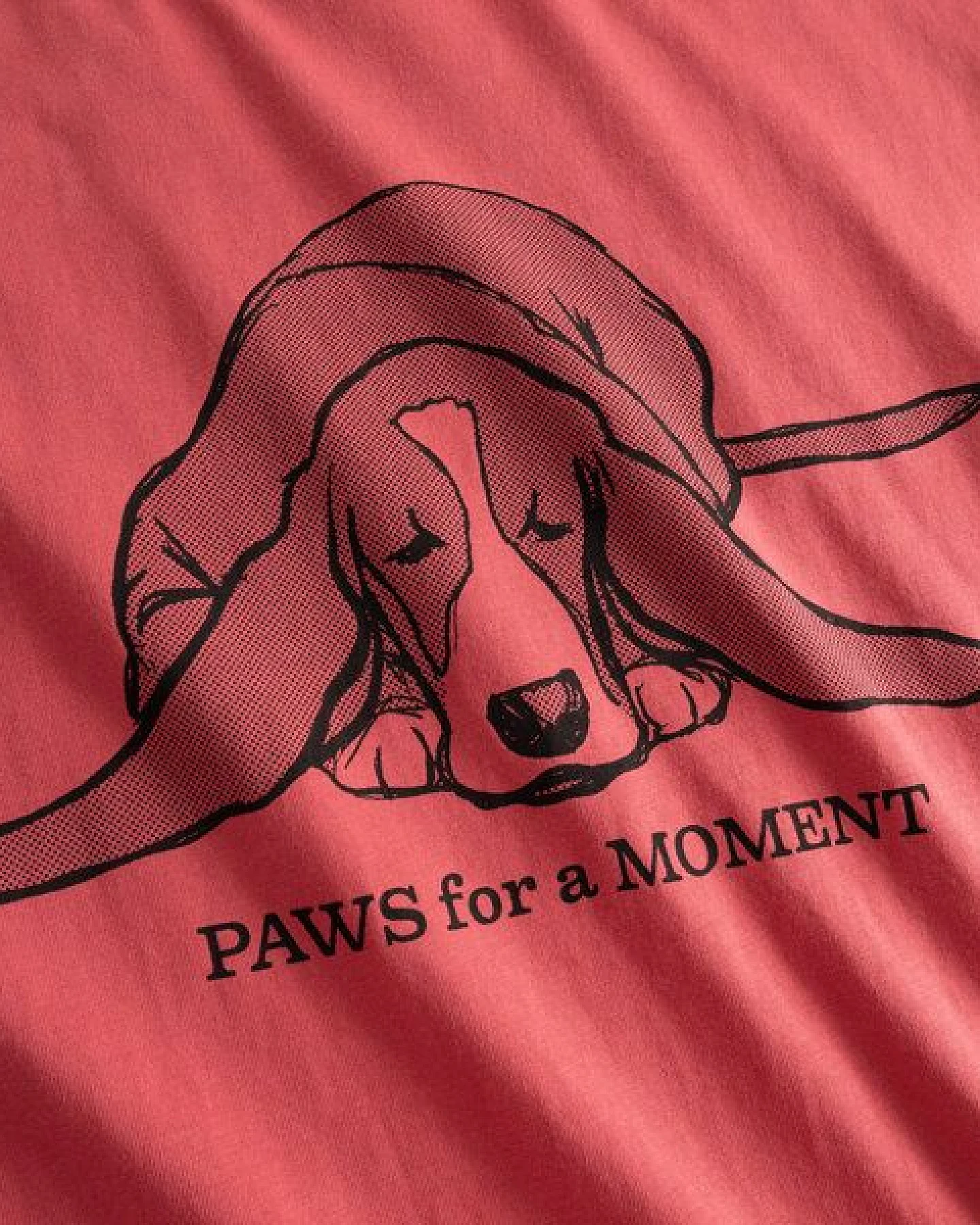 DEDICATED T-Shirt aus Biobaumwolle "Vadstena" - Paws For A Moment – Ansicht 3