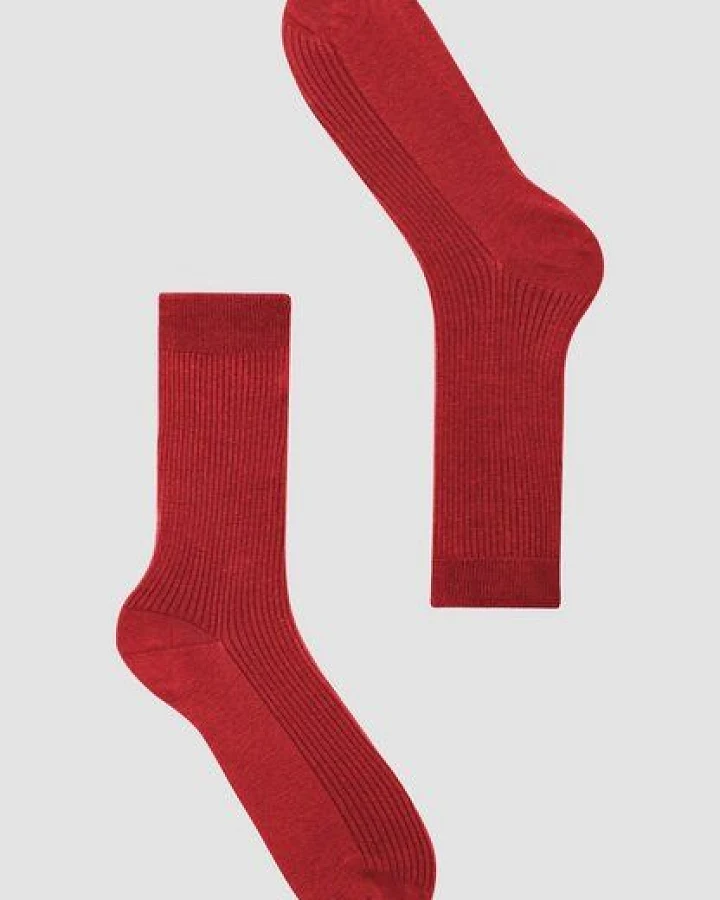 Rot