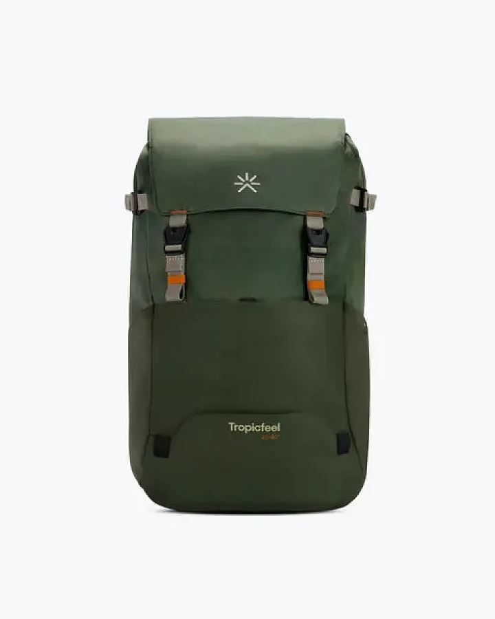 Bronze Green