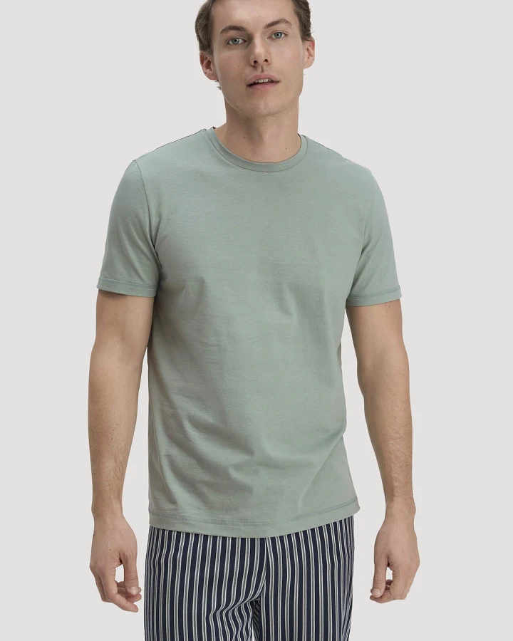 hessnatur Herren T-Shirt PURE COTTON aus Bio-Baumwolle - grün - Größe 46