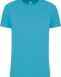 Sea Turquoise