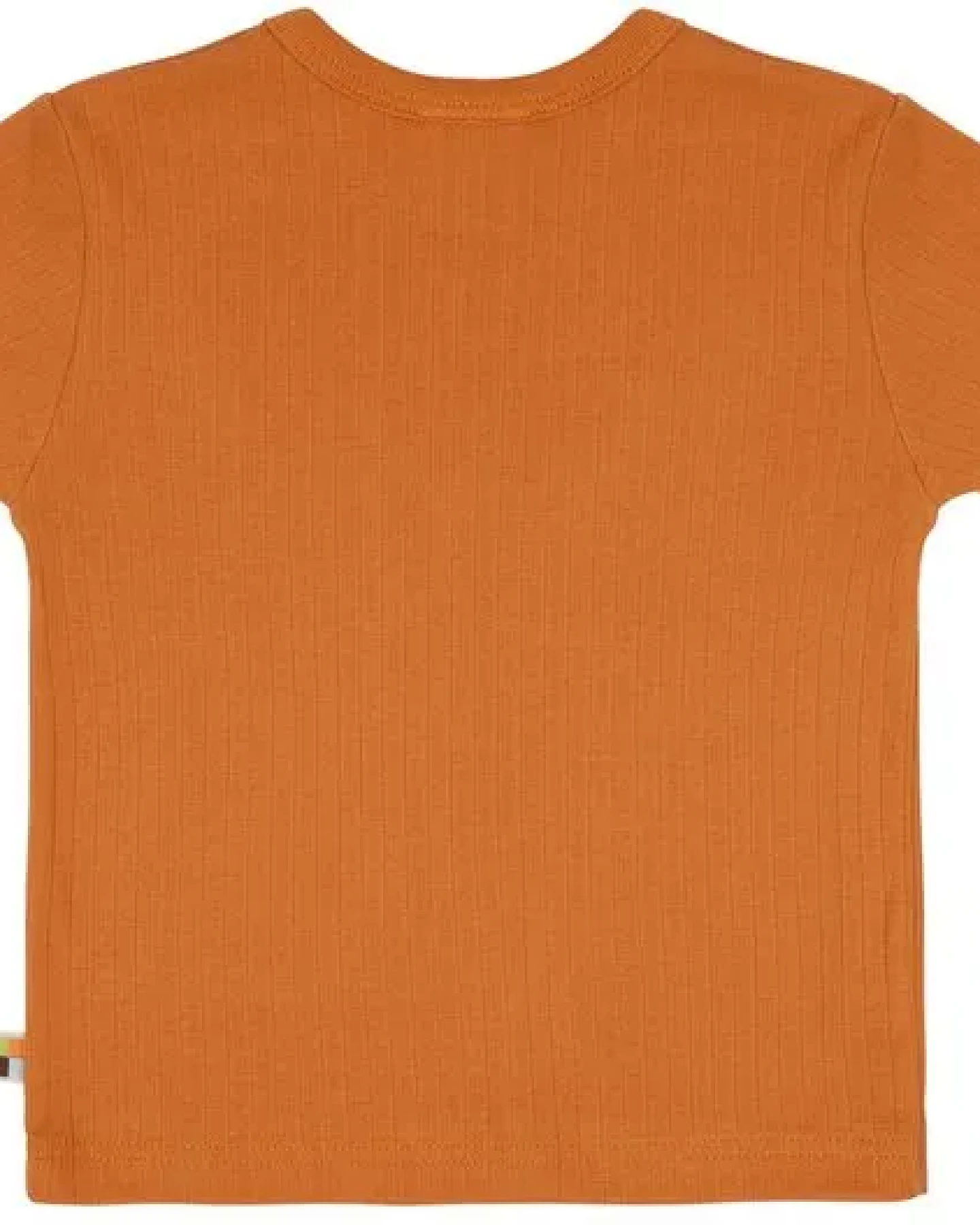 loud + proud Babys & Kinder T-Shirt Derby Rib mit Druck, GOTS-zertifiziert – Ansicht 2