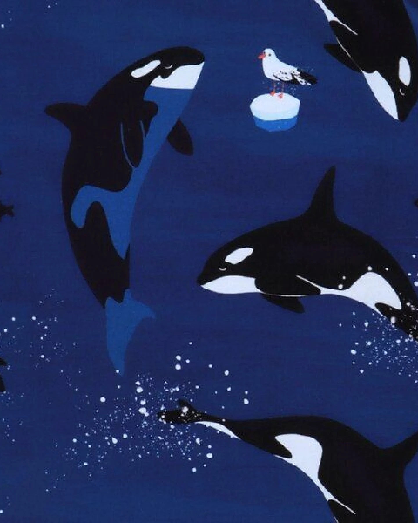 Kinder Langarmshirt Bio-Baumwolle Playful Orcas Walkiddy, GOTS-zertifiziertes Longsleeve, vegan, weiches Orca-Shirt für Kleinkinder, nachhaltige Langarm-Oberteil für Kindergarten & Freizeit – Ansicht 4