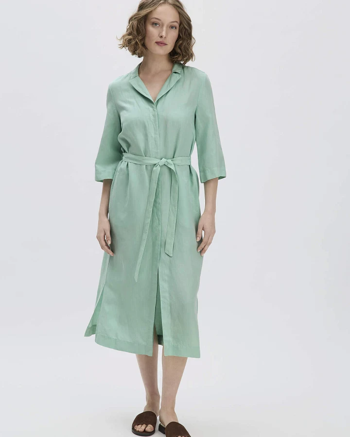 hessnatur Damen Kleid Midi Relaxed aus TENCEL Lyocell mit Leinen - grün - Größe 36