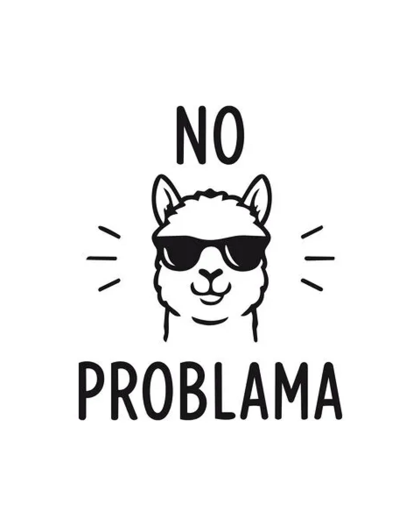 GARY MASH Shirt Asheville No Problama aus Bio-Baumwolle – Ansicht 2