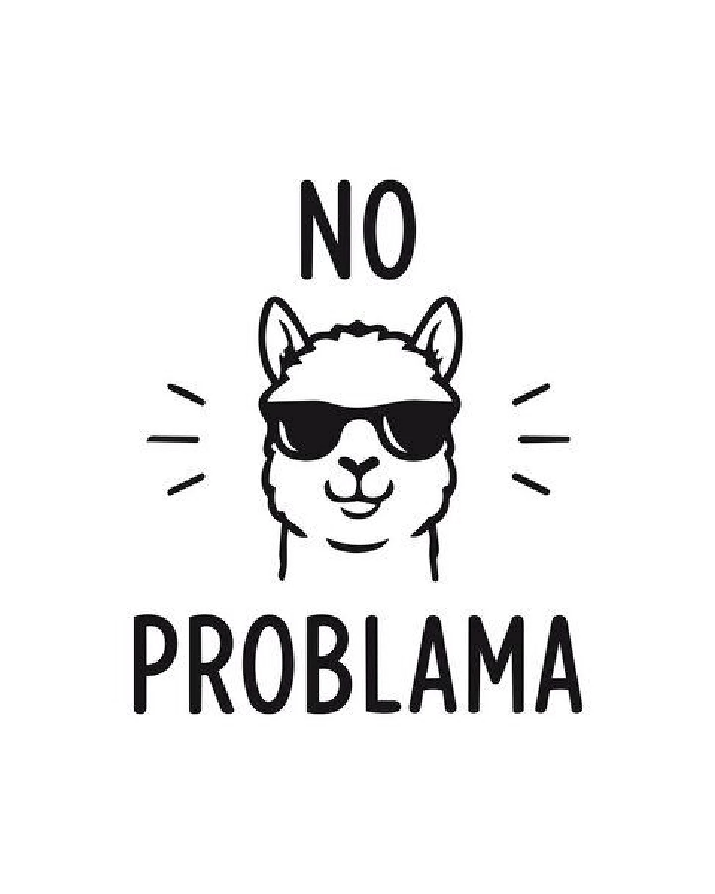 GARY MASH Shirt Asheville No Problama aus Bio-Baumwolle – Ansicht 2