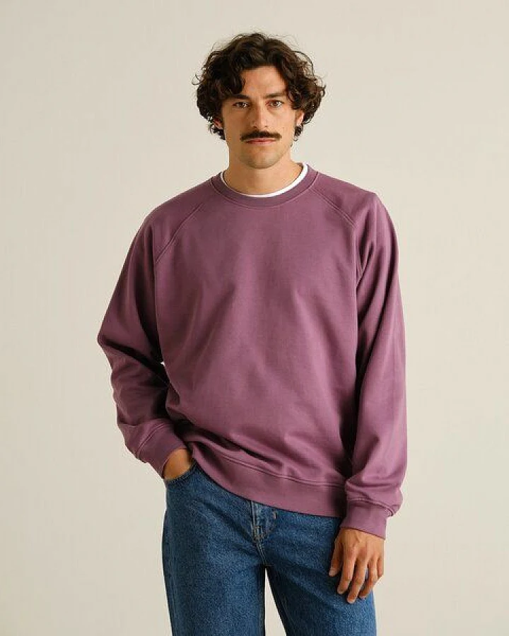 DEDICATED Herren Sweatshirt Malmoe Berry Purple