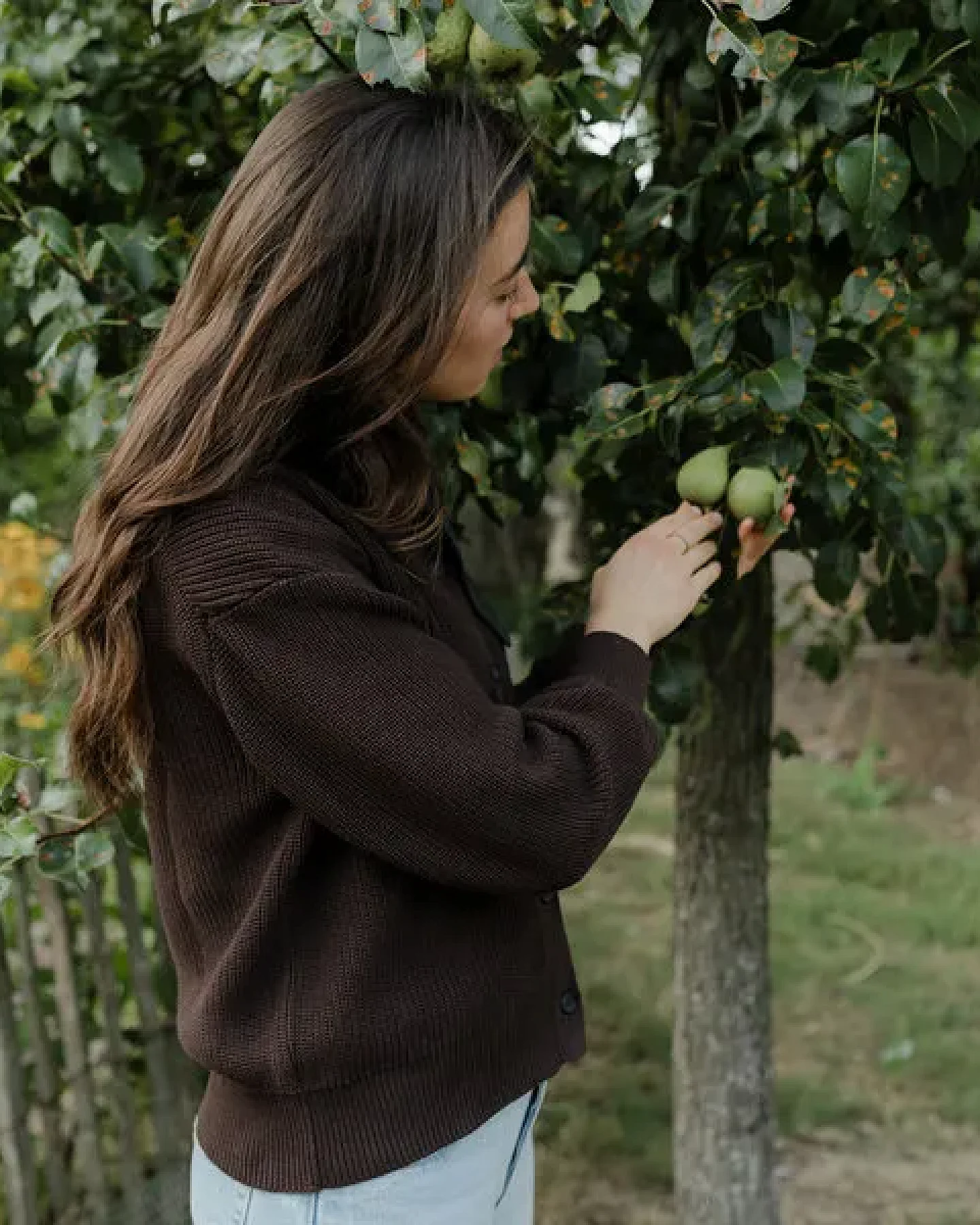 NORDLICHT Grobstrick Rundhals Cardigan aus 100% Baumwolle ROMY – Ansicht 2