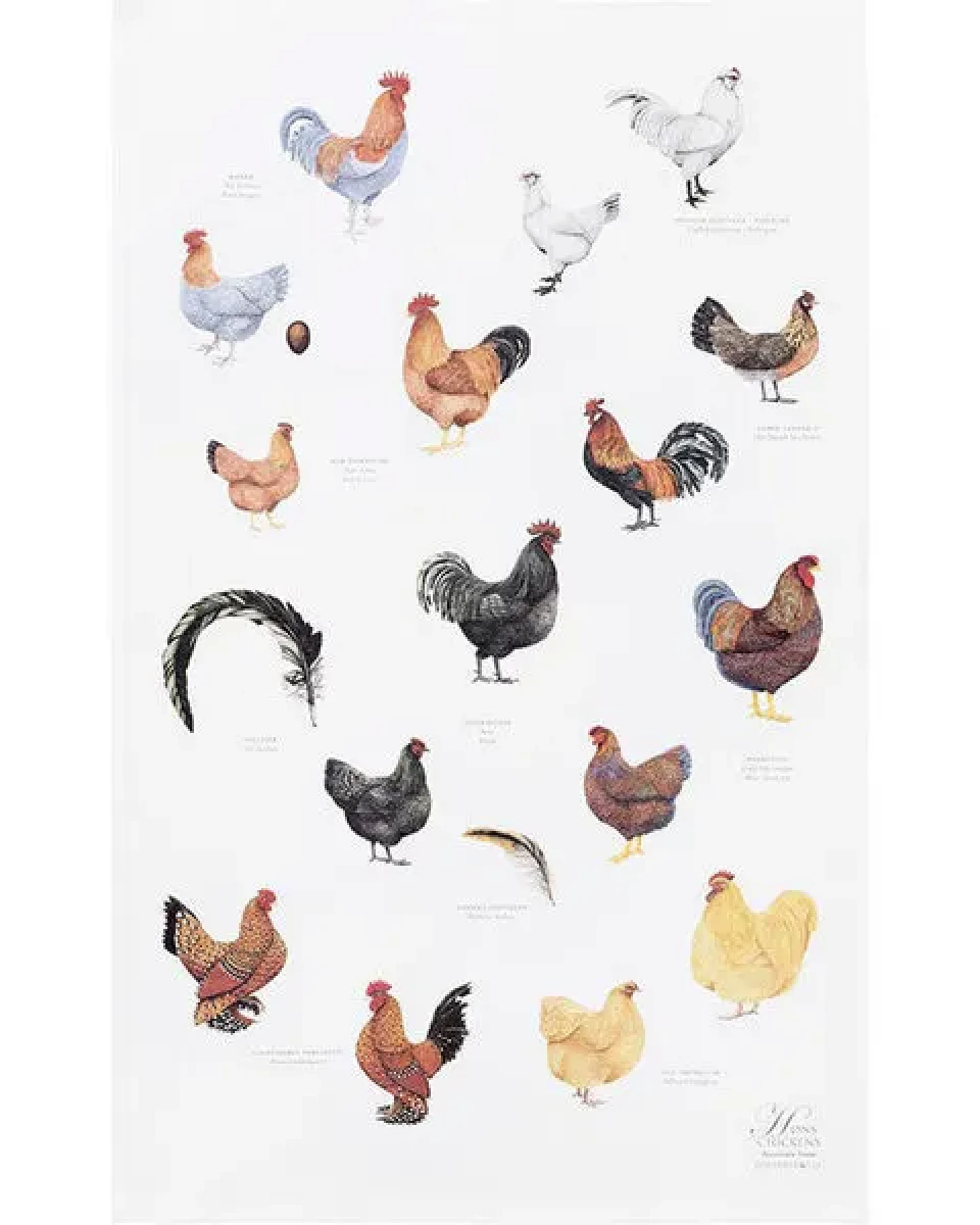 Koustrup & Co Gartenmotiv-Geschirrtücher aus 100% Bio-Baumwolle, 48 x 70 cm – Ansicht 2