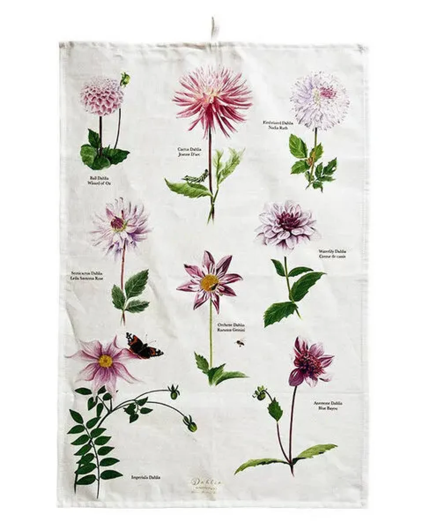 Koustrup & Co Blumenmotiv-Geschirrtücher aus 100% Bio-Baumwolle, 48 x 70 cm – Ansicht 2