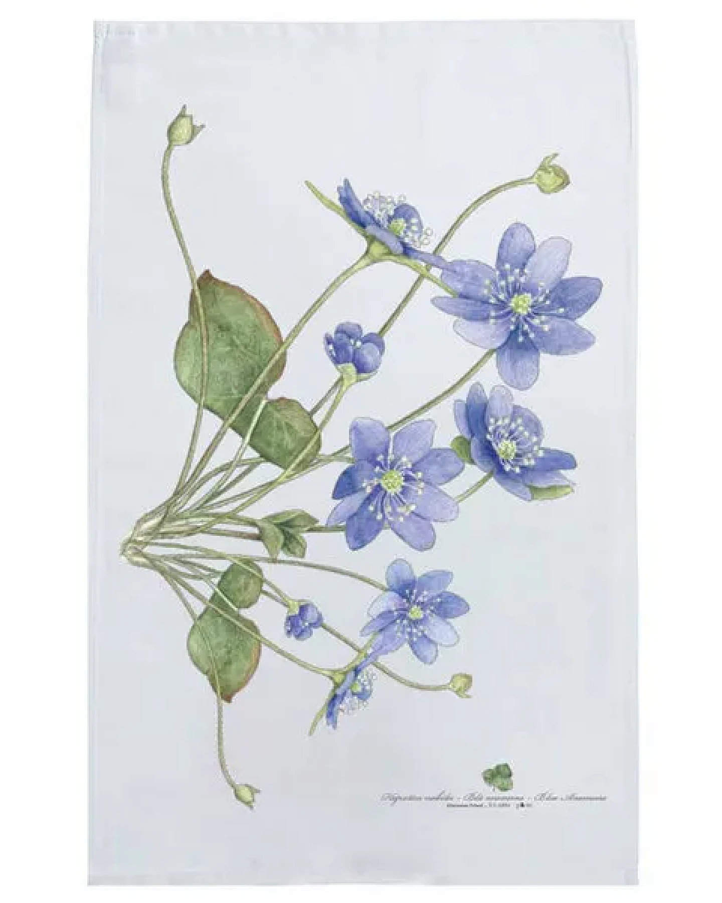 Koustrup & Co Blumenmotiv-Geschirrtücher aus 100% Bio-Baumwolle, 48 x 70 cm – Ansicht 2