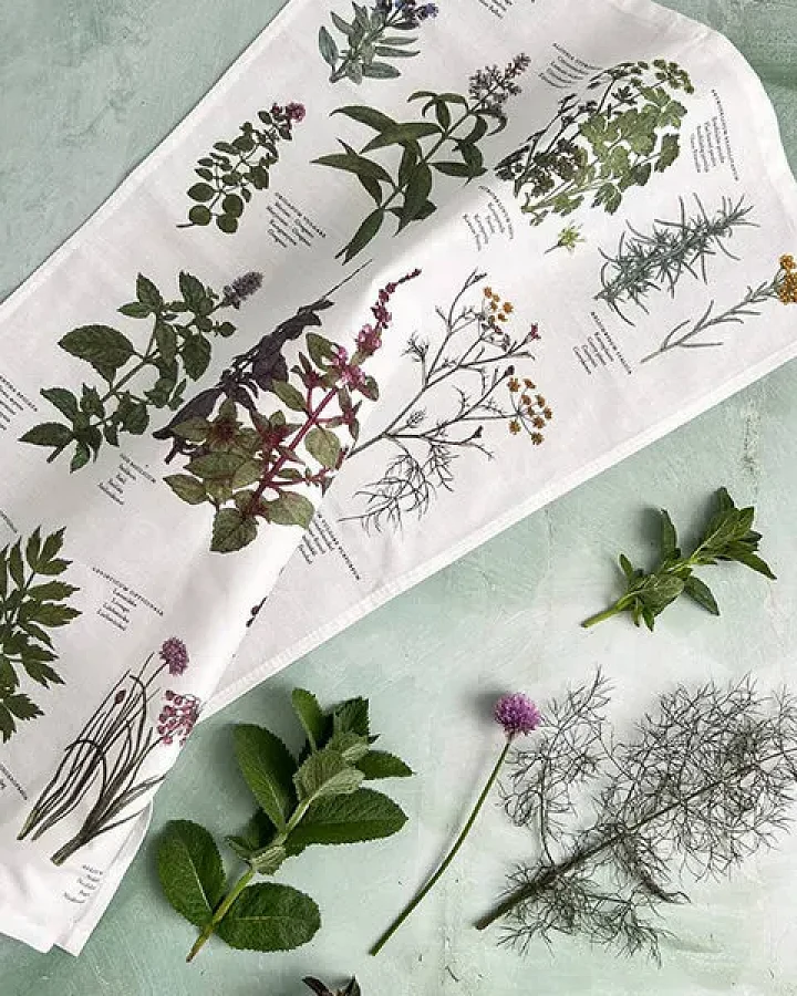 Herbs