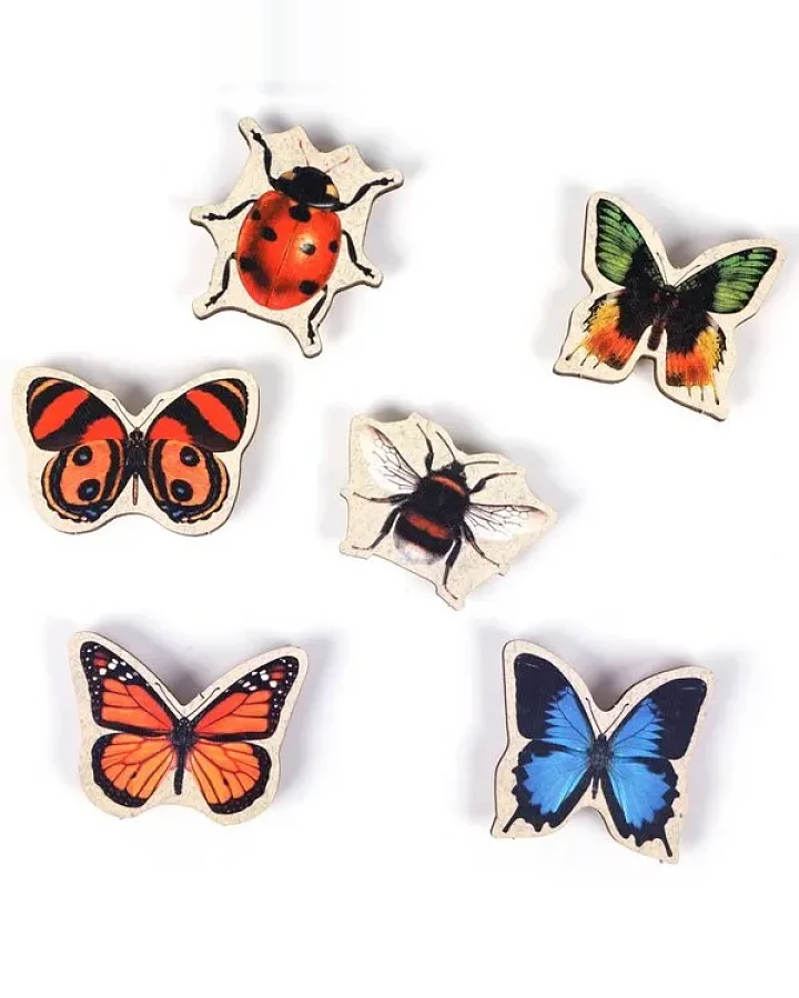 WERKHAUS Magnet-Set - Nature Fun