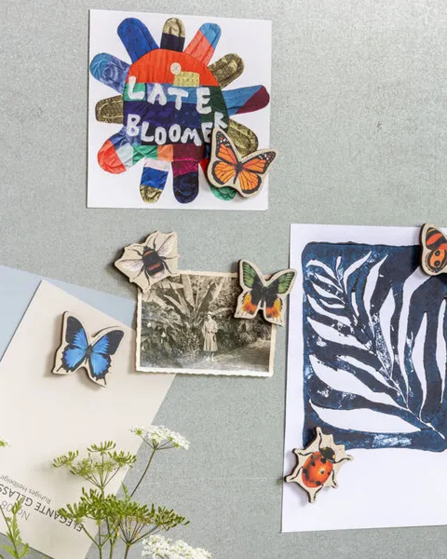 WERKHAUS Magnet-Set - Nature Fun – Ansicht 3