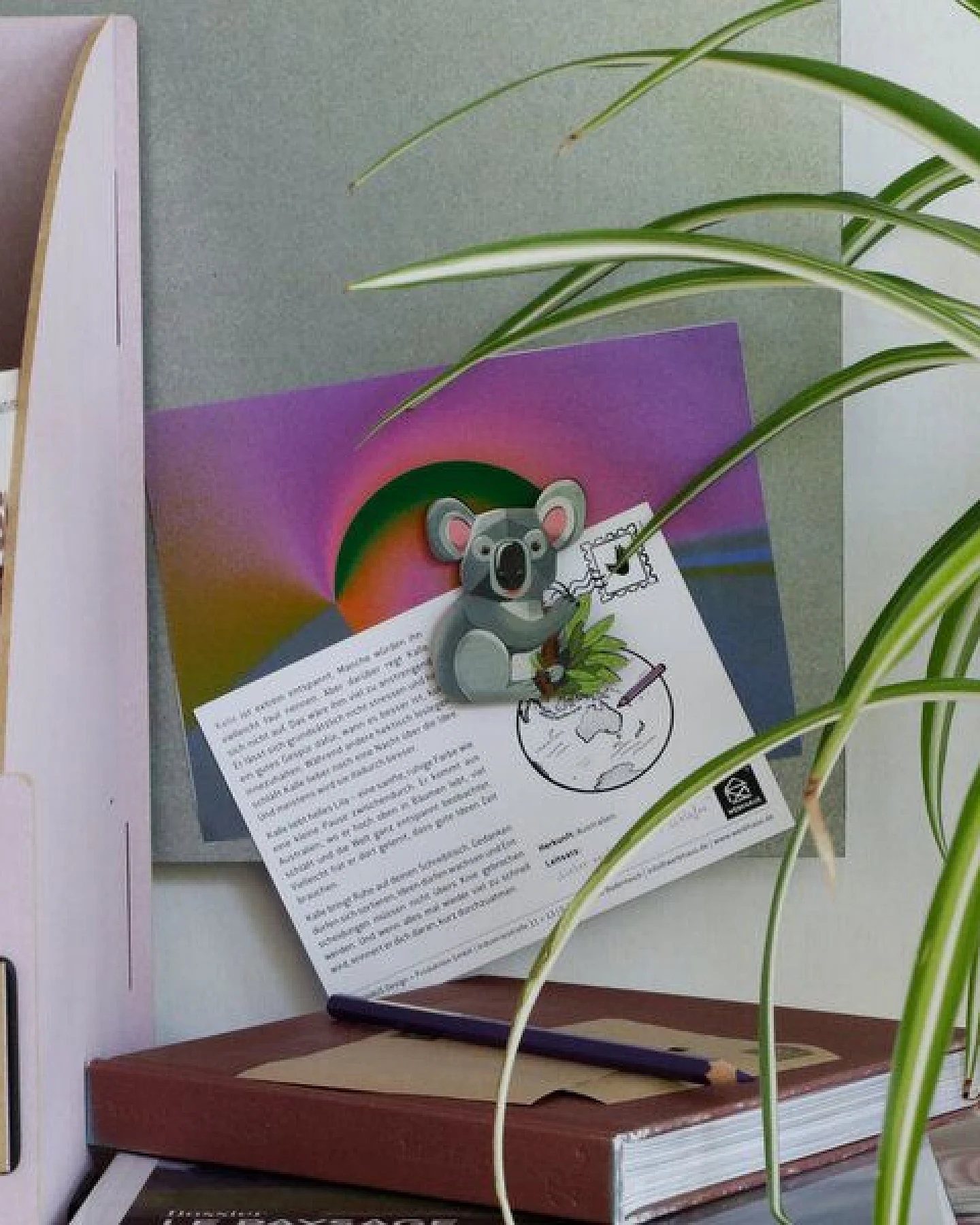WERKHAUS Magnet - Koala Kalle – Ansicht 2