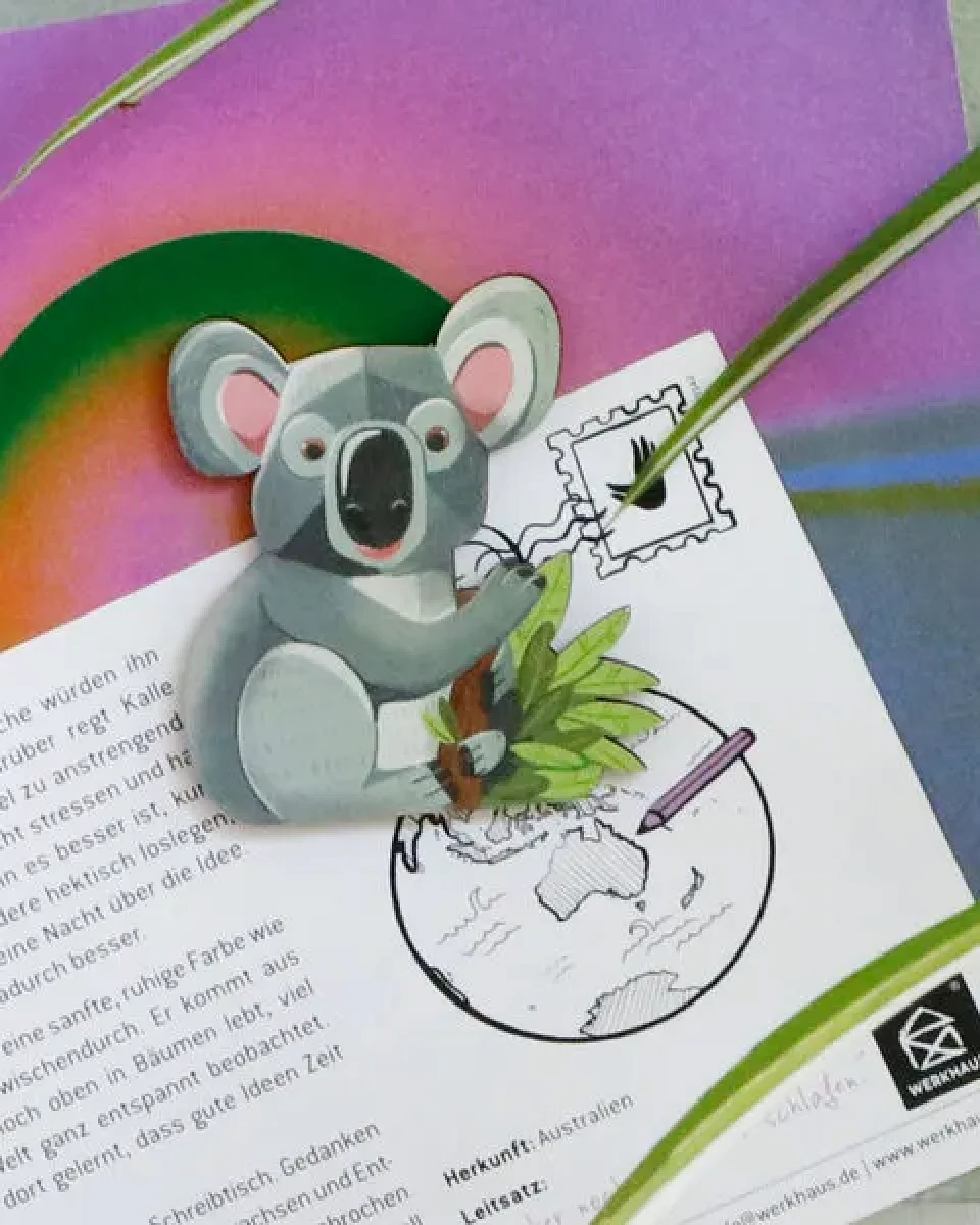 WERKHAUS Magnet - Koala Kalle – Ansicht 3