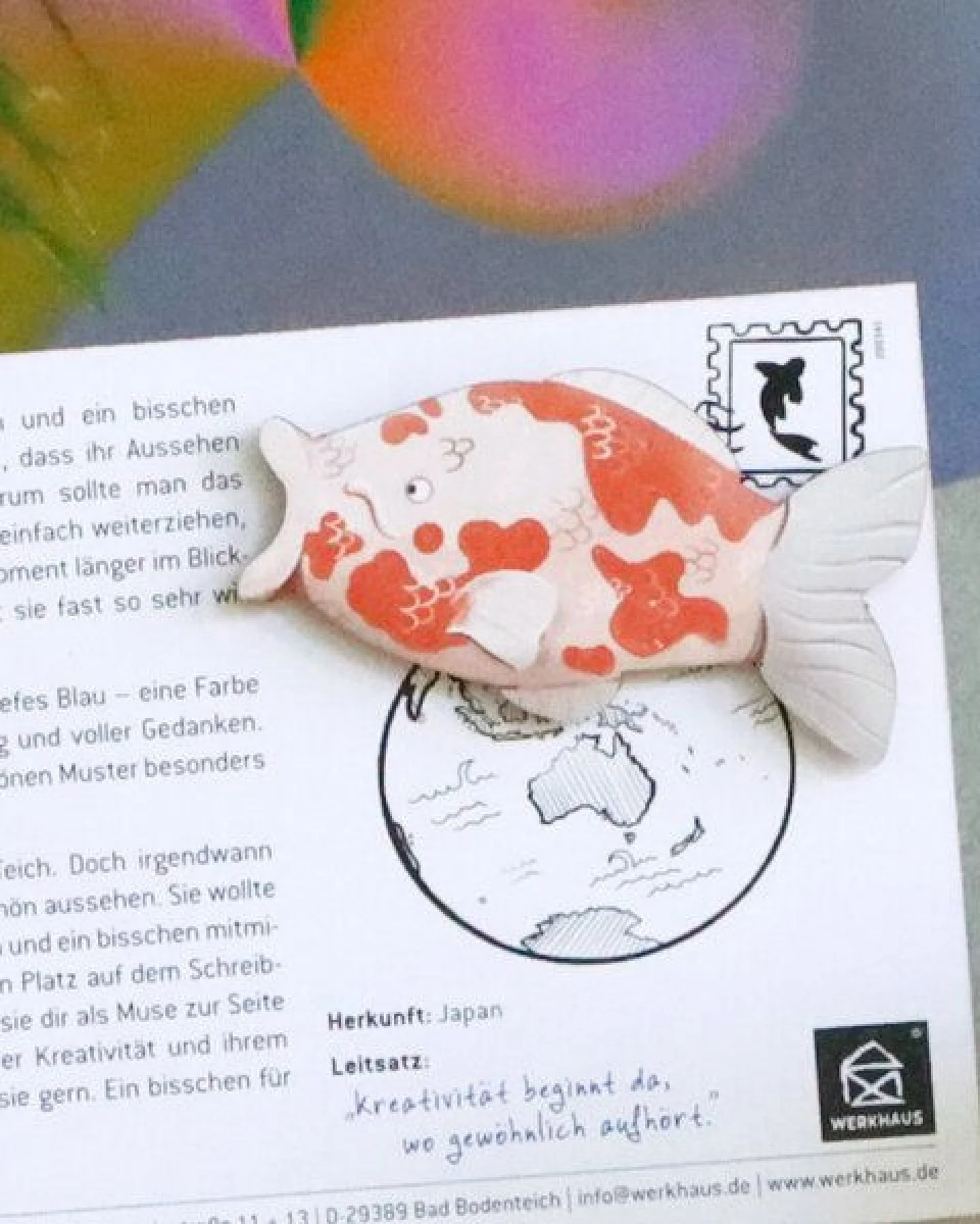 WERKHAUS Magnet - Koi Yoko – Ansicht 3