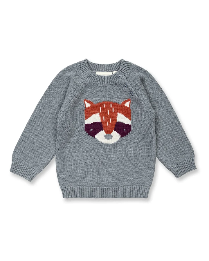 Sense Organics - Strick-Pullover "Waschbär" grau