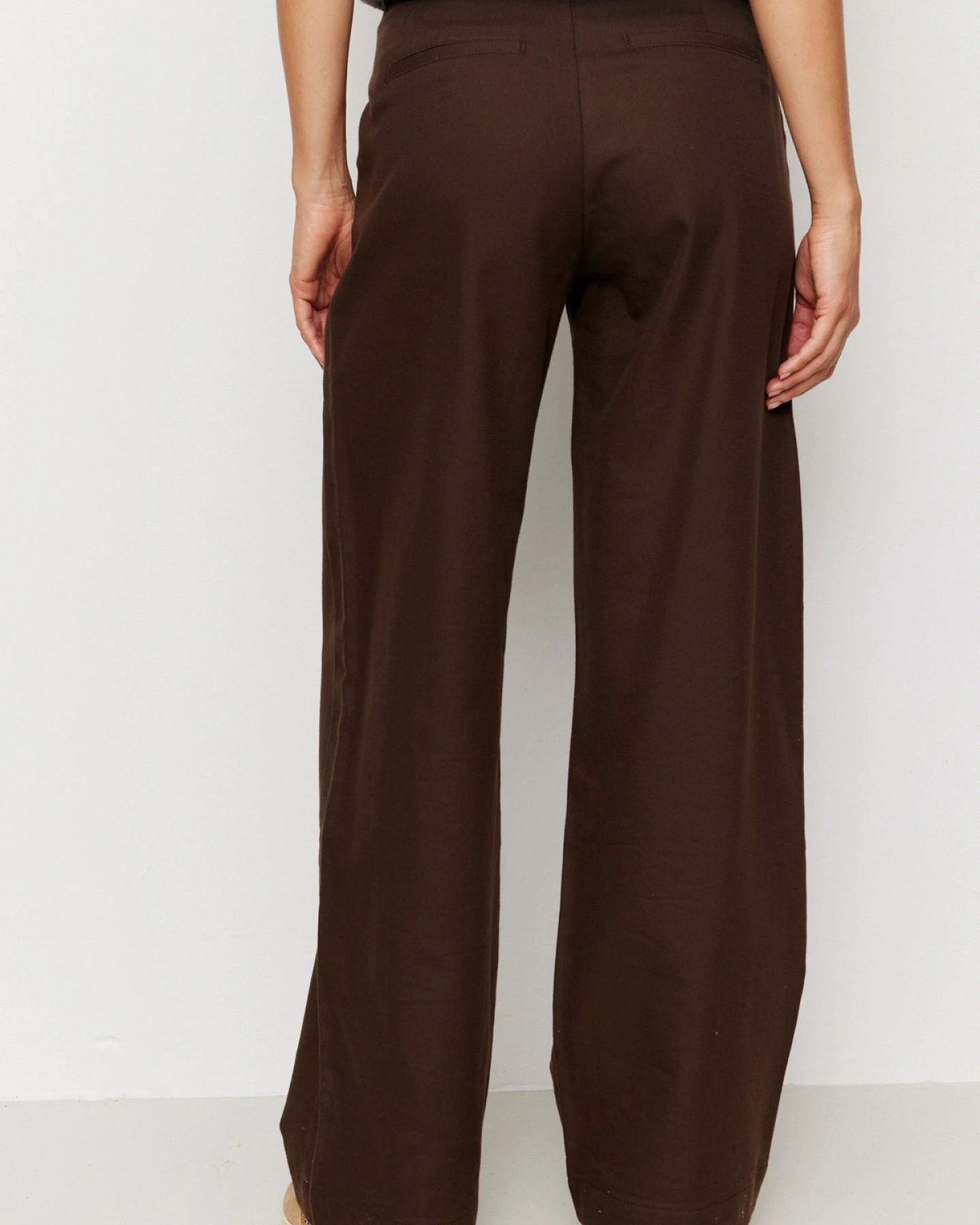 Hose Ligularia – Ansicht 2