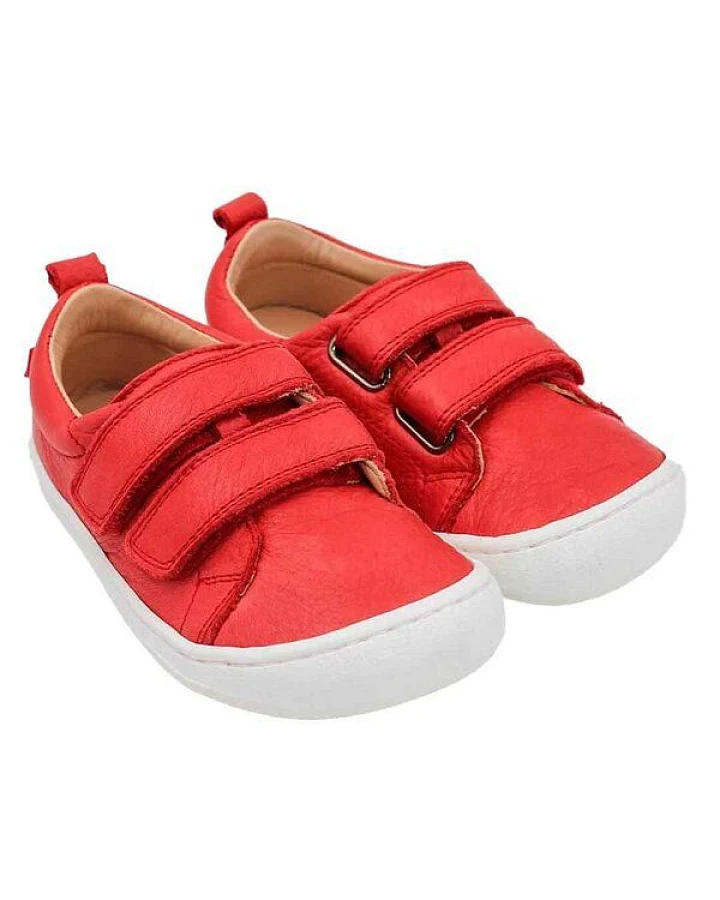 Rot