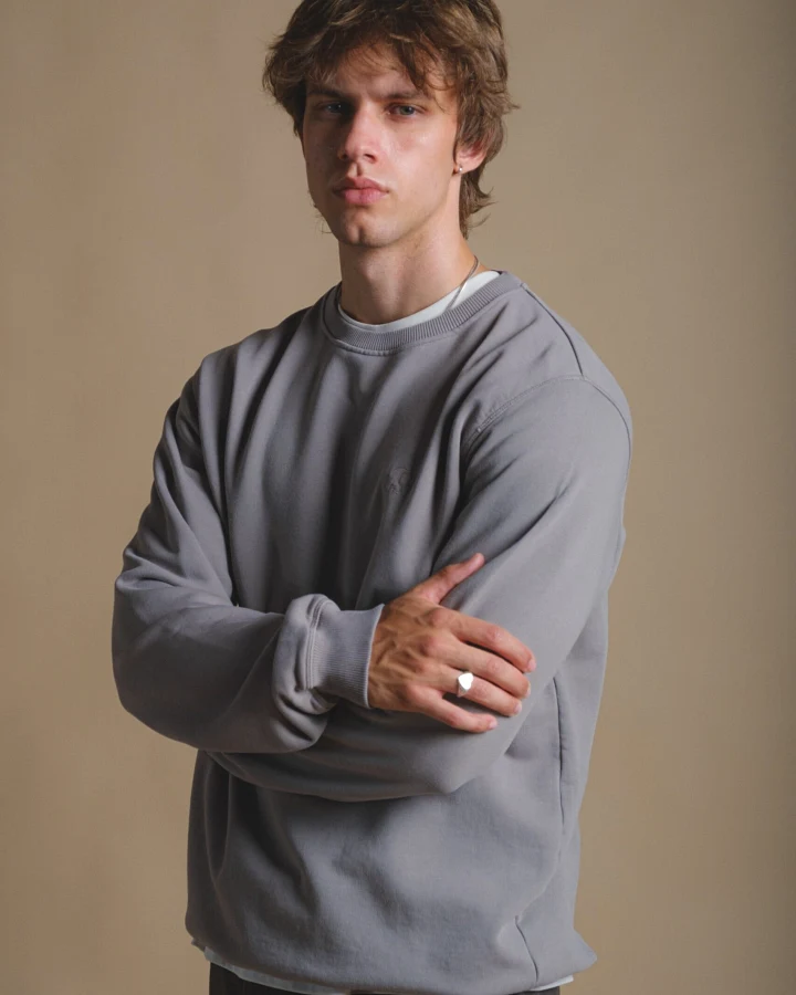 Trendsplant Herren vegan Pullover Heavyweight Essential Gray