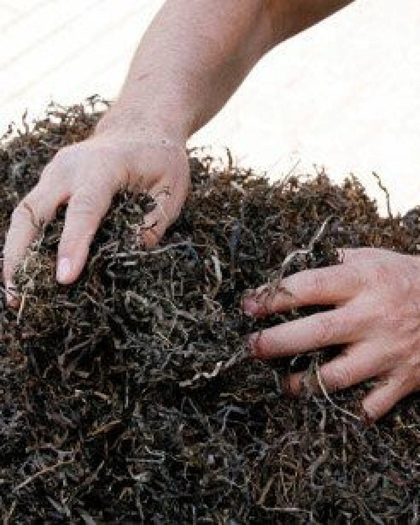Speltex – Seegras mit Naturkautschuk aus Wildsammlung – Nachfüllpack – [Verschiedene Mengen] – Ansicht 4