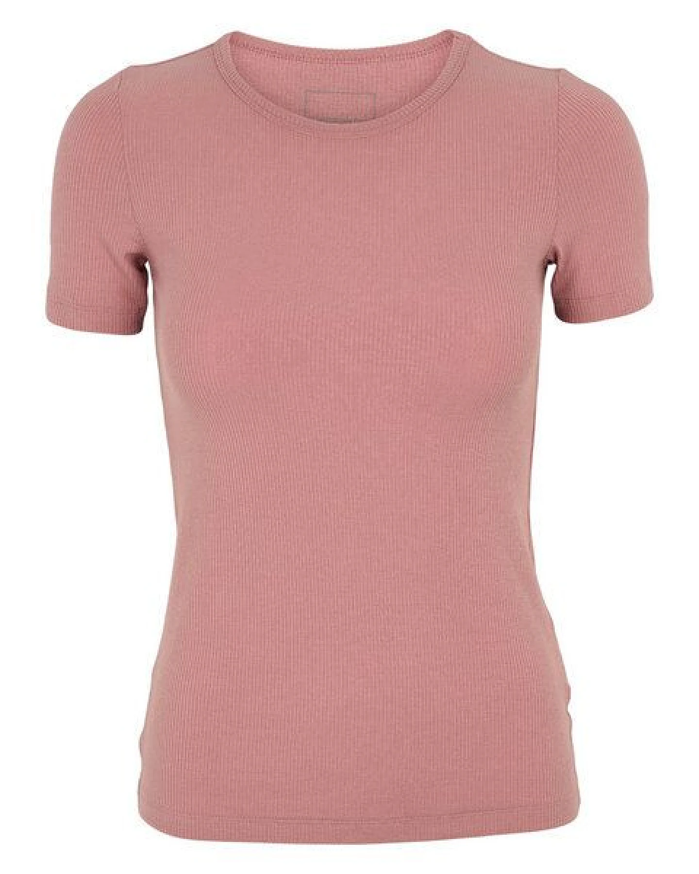 Conservandum T-Shirt – Ansicht 2