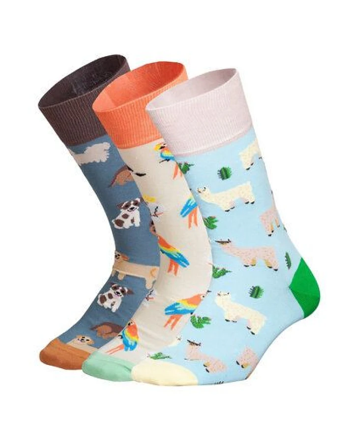 DillySocks Socken „Animal Attitude“