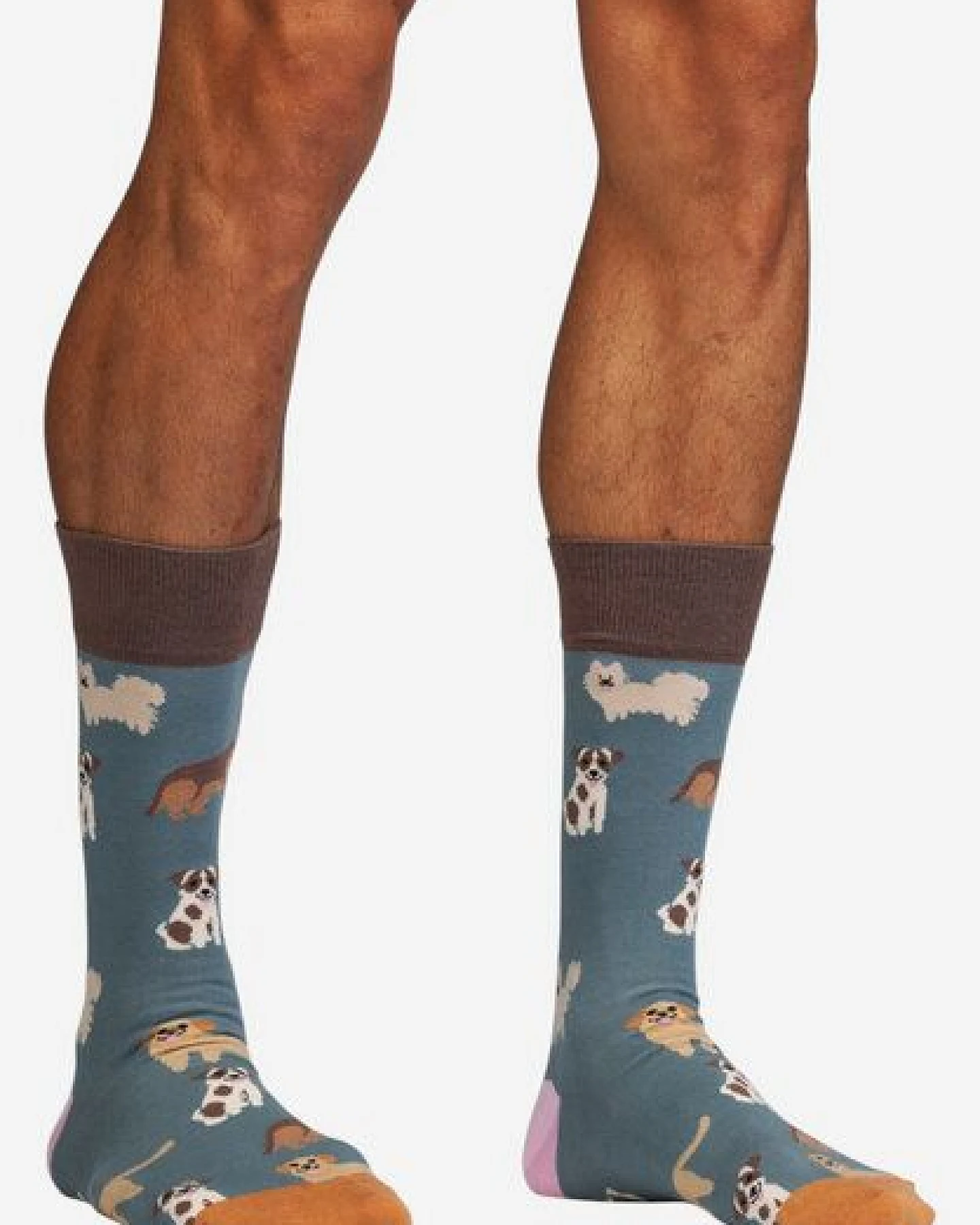 DillySocks Socken „Animal Attitude“ – Ansicht 2