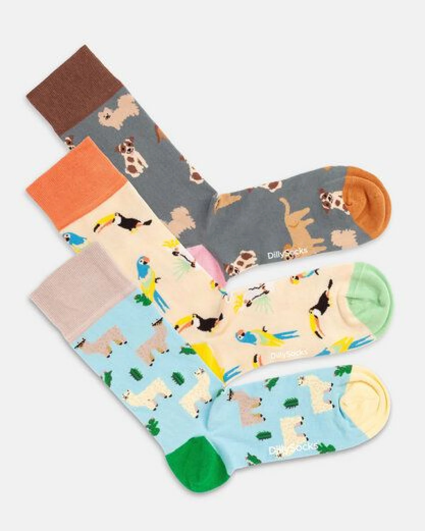 DillySocks Socken „Animal Attitude“ – Ansicht 3