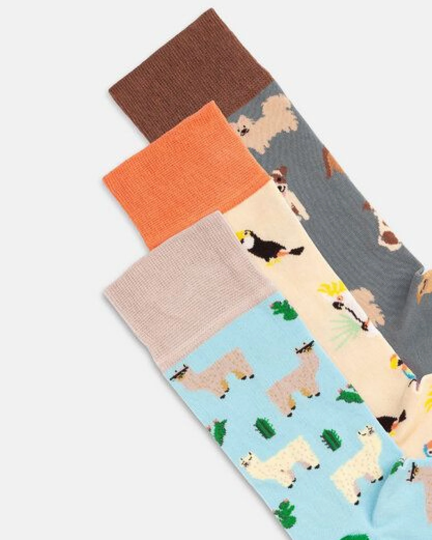 DillySocks Socken „Animal Attitude“ – Ansicht 4