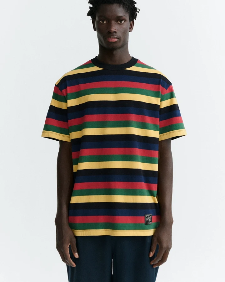 Thinking MU Herren vegan T-Shirt Aaron R Bunte Streifen