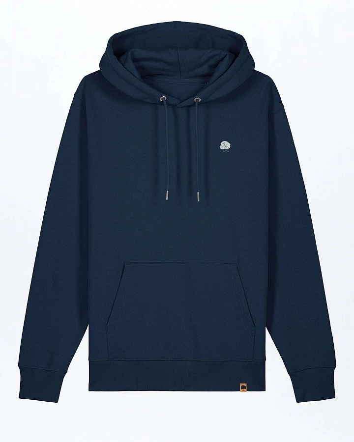 French Navy