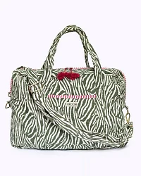 Desert Zebra