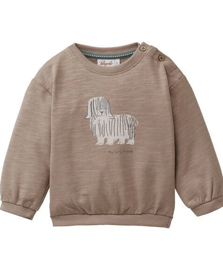 Produktseite: People Wear Organic Sweat Pullover, braun uni, "Hund"