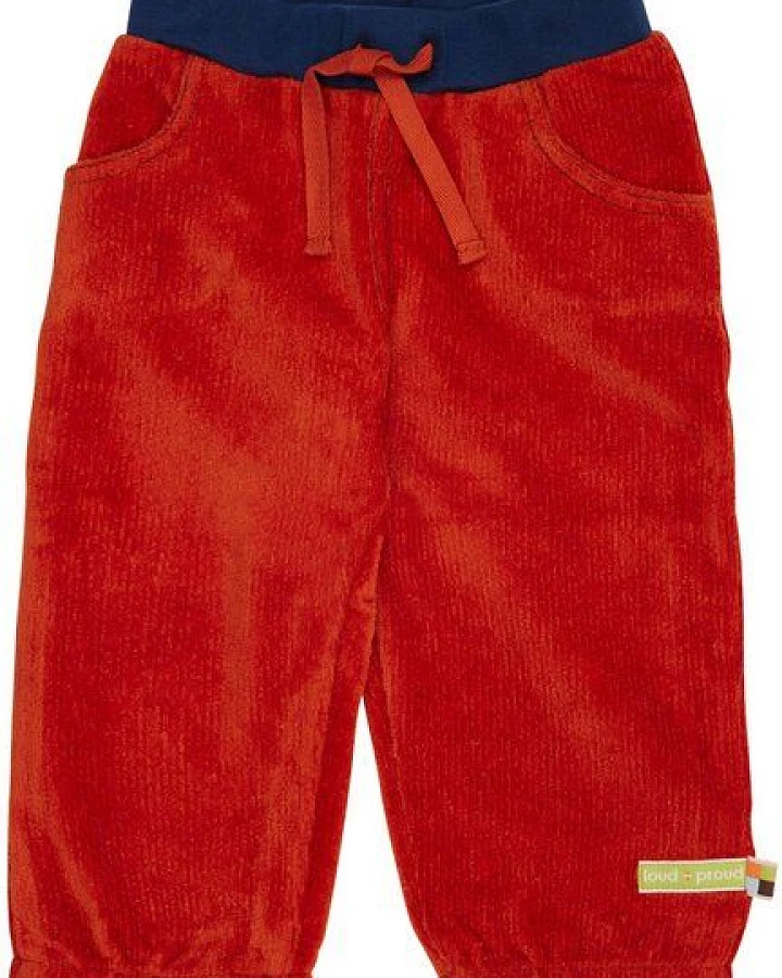 Terracotta(Orange)