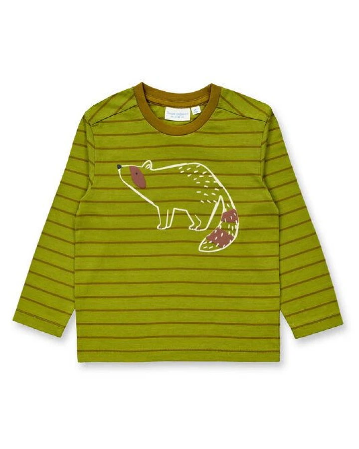 Waschbär (grün)
