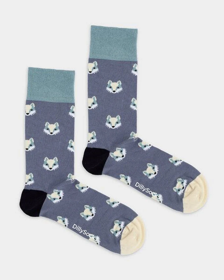 DillySocks Socken Tiny Wilds aus Biobaumwoll-Mix