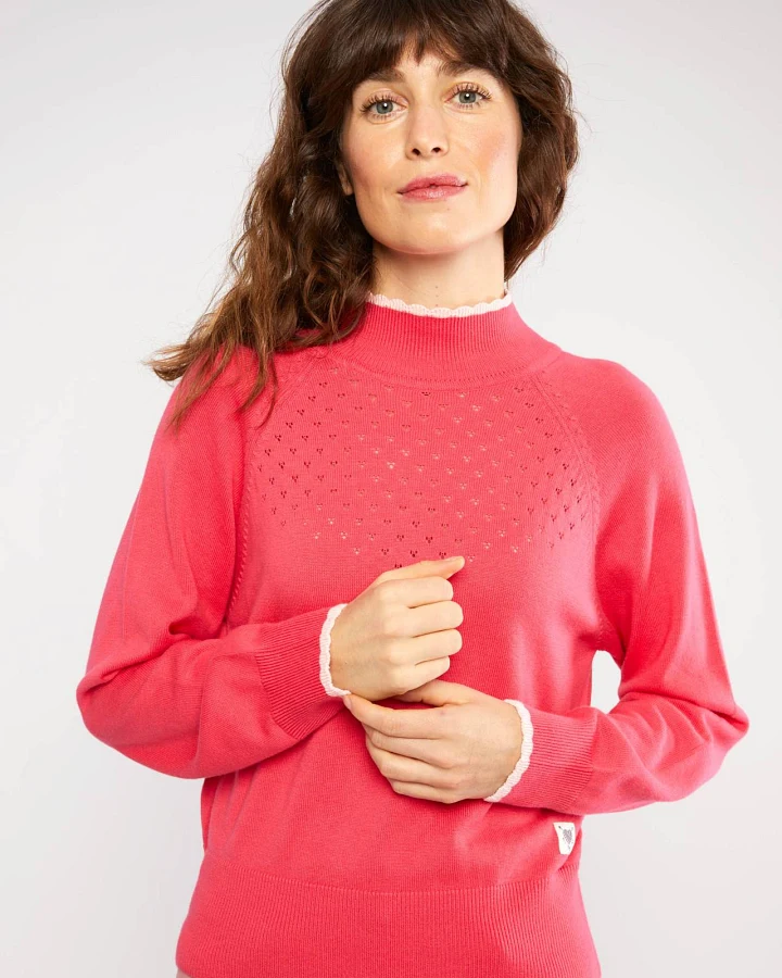 Strickpullover Delicious Minds