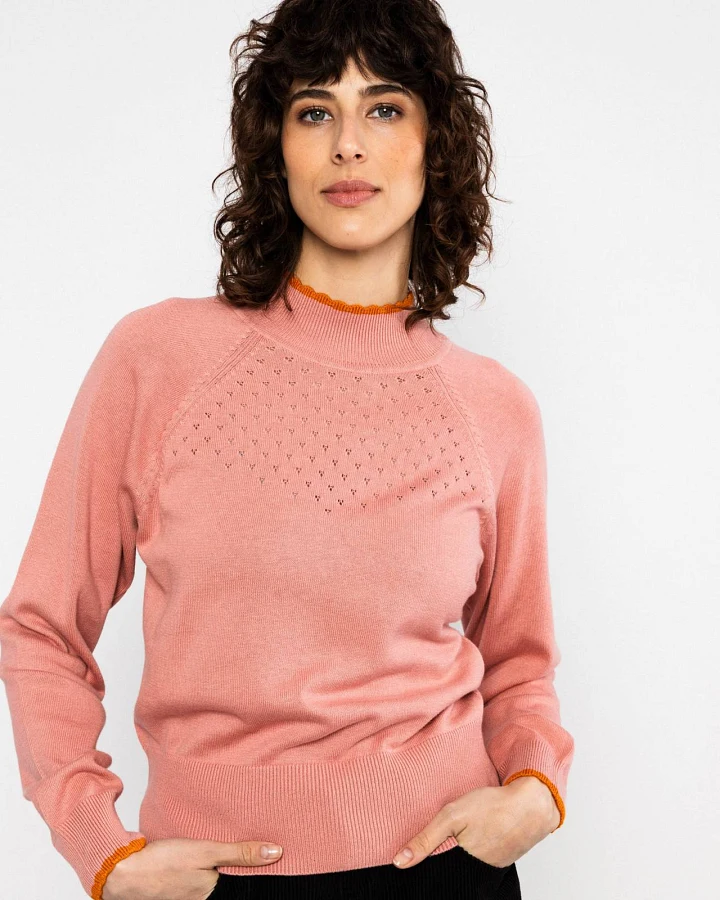 Strickpullover Delicious Minds